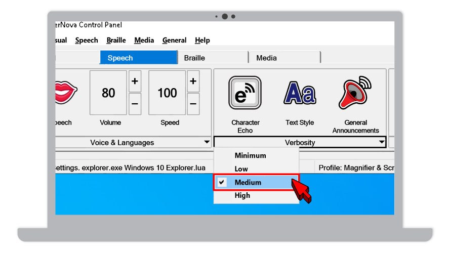 Screen reader verbosity options on a laptop screen.